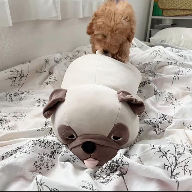 eriharuさんの実例写真