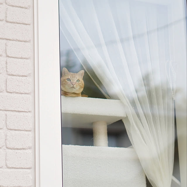 mochiさんの実例写真