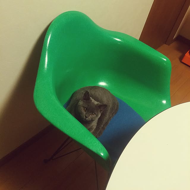 Shojiさんの実例写真