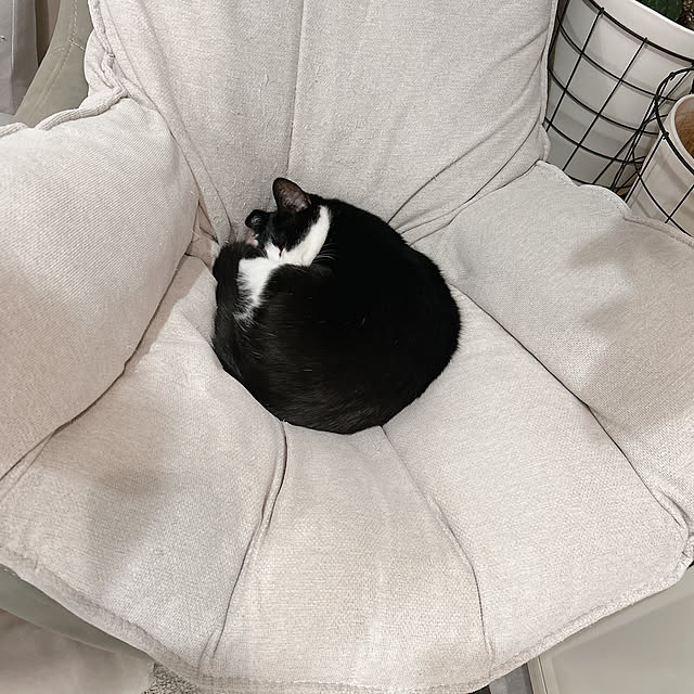 mako2yaさんの部屋