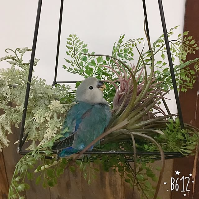 yuki.ni_tsuさんの実例写真