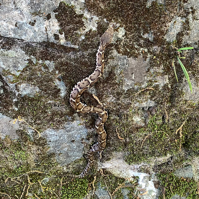 tututu0204さんの部屋