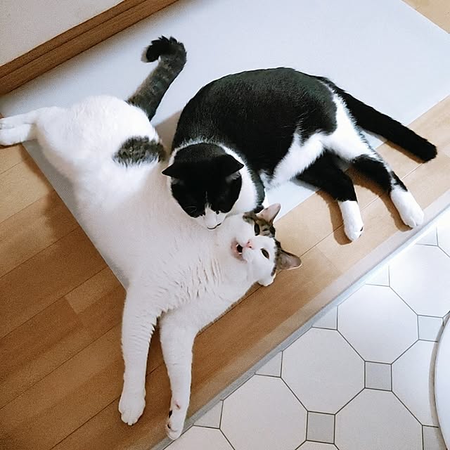 kirakirahikaruさんの実例写真