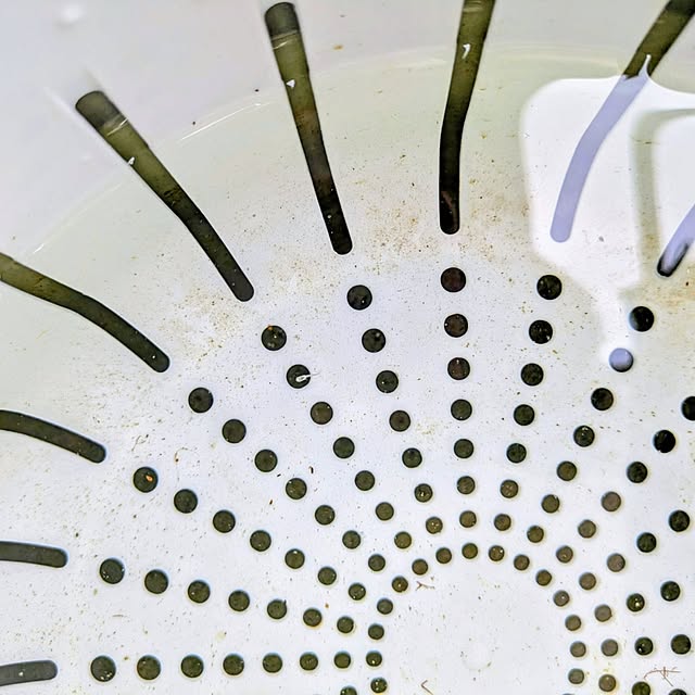 mi-saさんの部屋