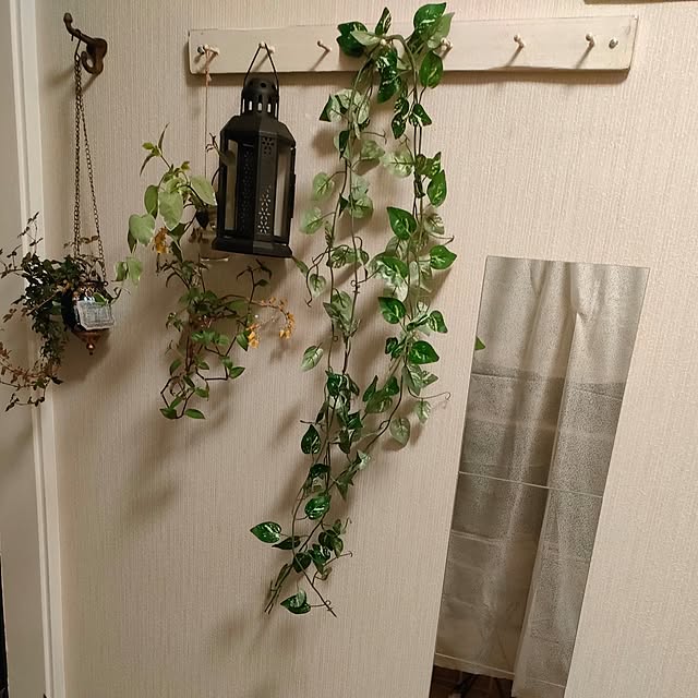 mori_6_12さんの実例写真