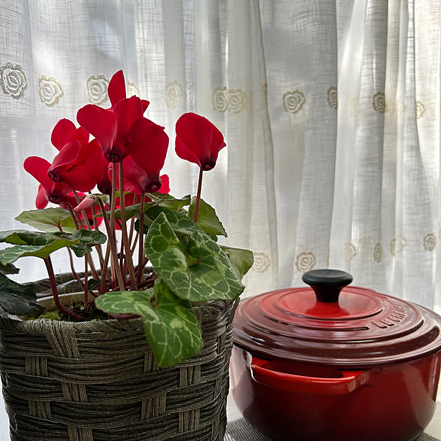 fumikoiさんの実例写真