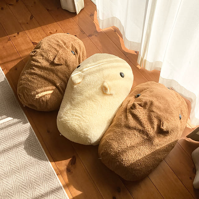 実例写真