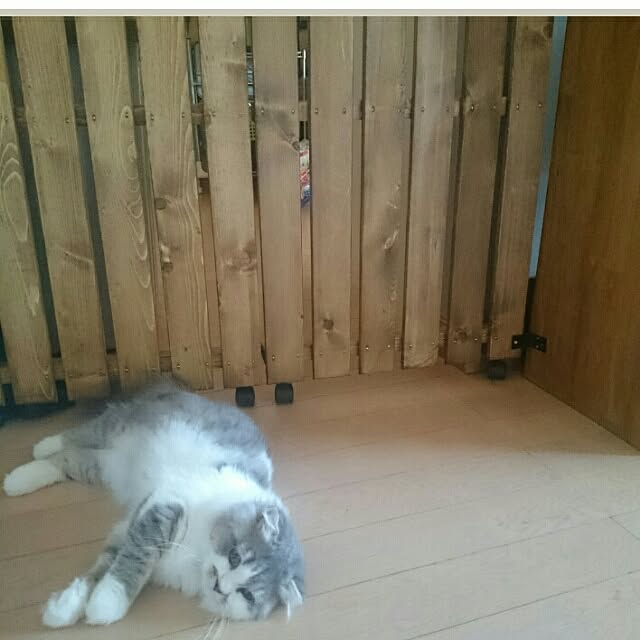 montboo5さんの実例写真