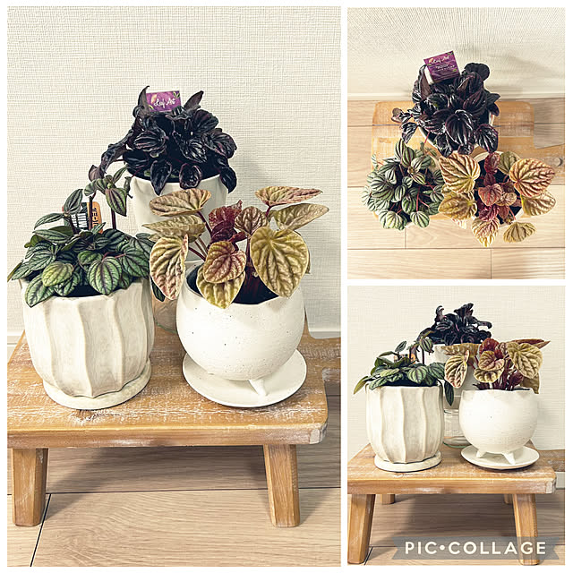 yoyoyoさんの部屋