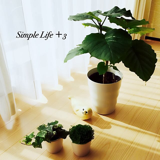 moca.xxxさんの実例写真