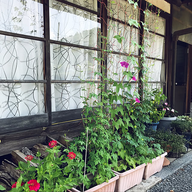 keikoさんの実例写真