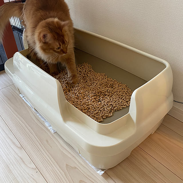 momongaさんの部屋