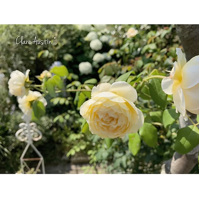 s.mamaさんの実例写真