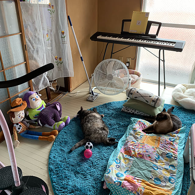 SIROさんの実例写真