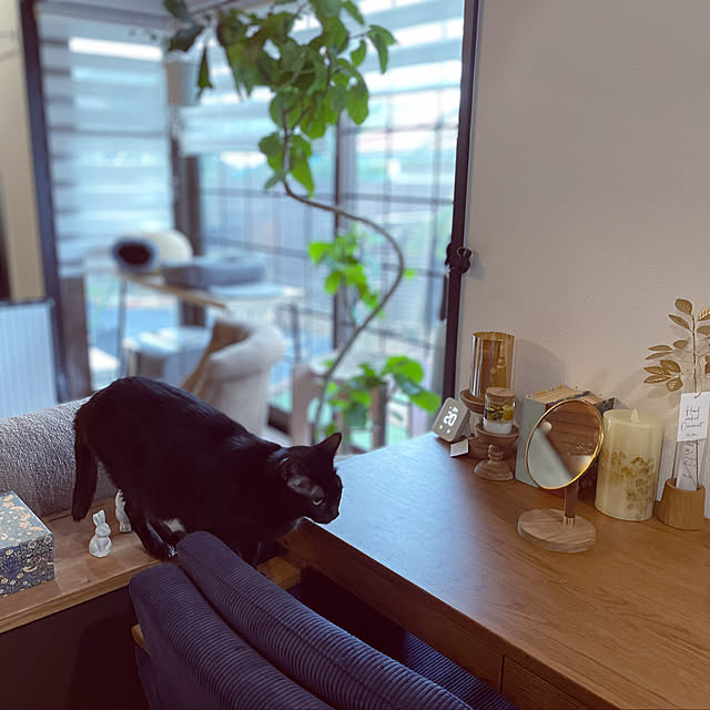 Yukinekoさんの部屋