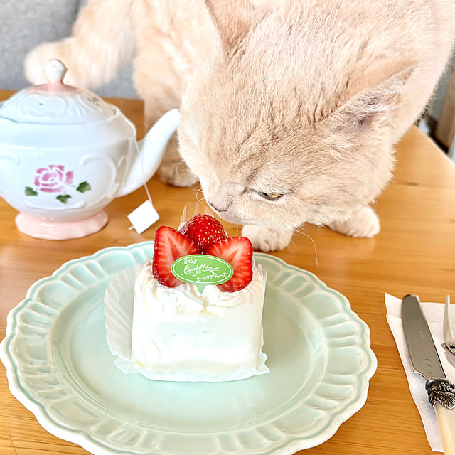naokoさんの実例写真