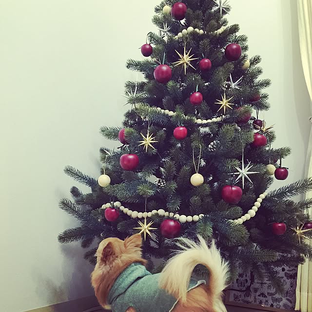 haruhinaさんの実例写真
