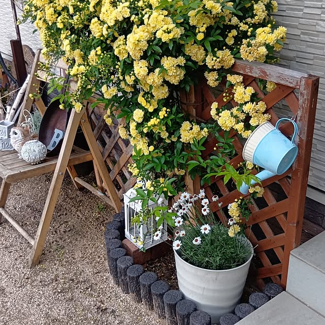 H+M+S...HappyLife...さんの部屋