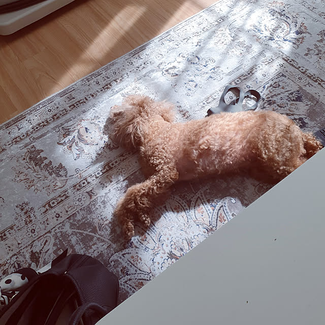 Miri.さんの実例写真