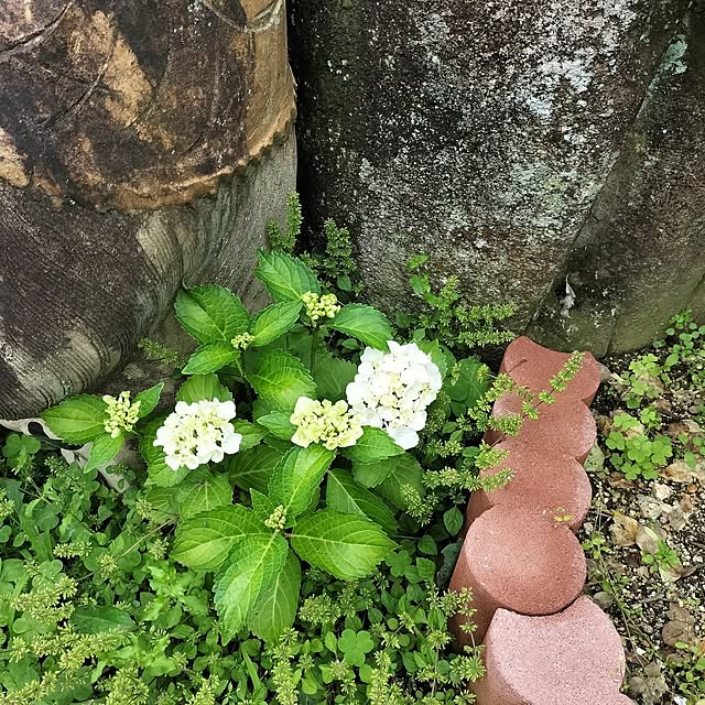sumimarumiさんの部屋