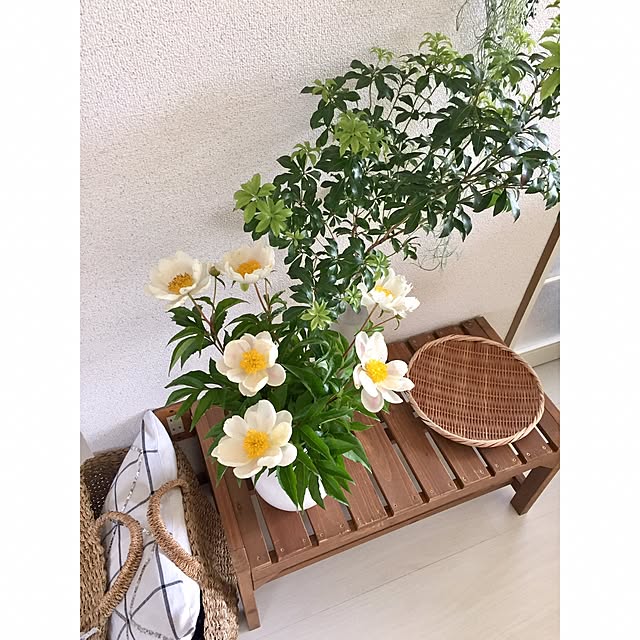Kaneyukiさんの実例写真