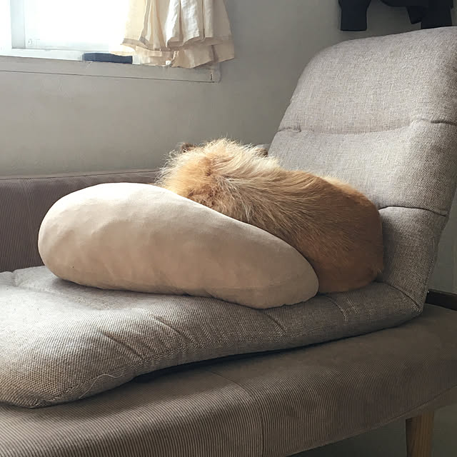 hamuhamuさんの実例写真