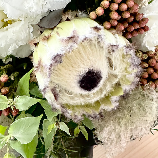 Chigusaさんの部屋