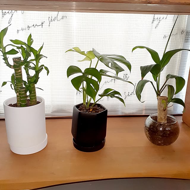 naoporonさんの部屋