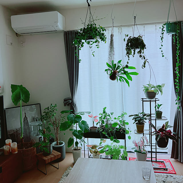 Nao56roomさんの部屋