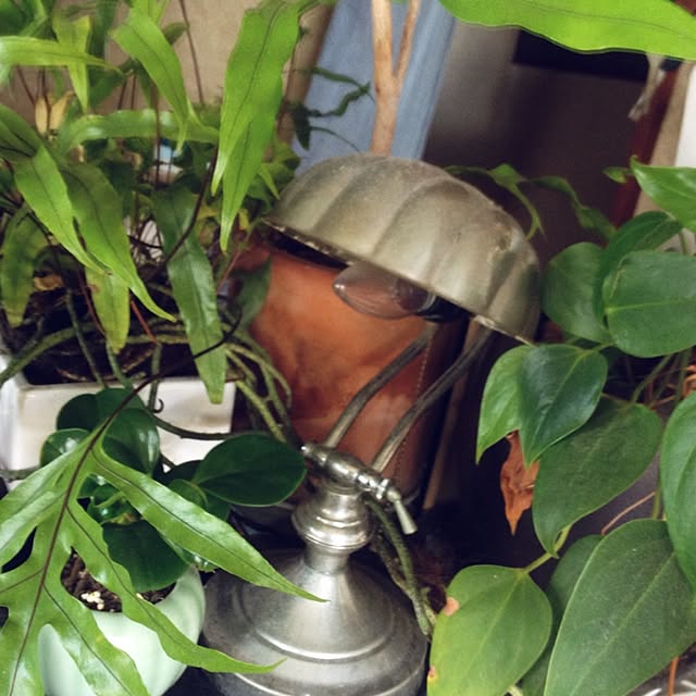 greさんの実例写真