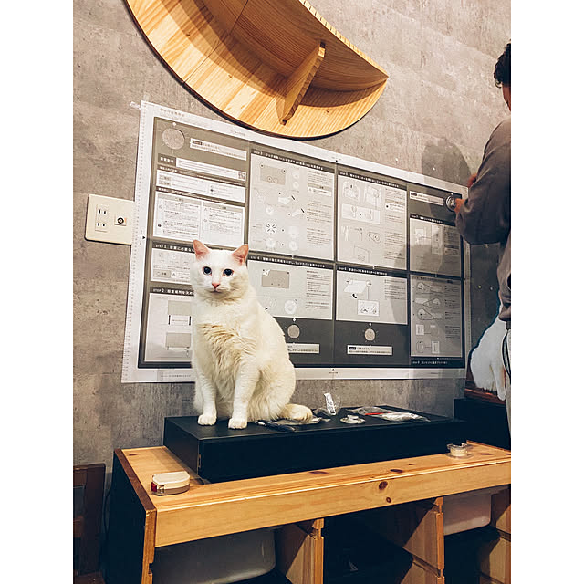 yuiiiさんの実例写真