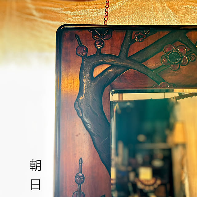 akaidarumaさんの部屋