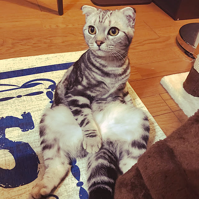 arimanaさんの実例写真