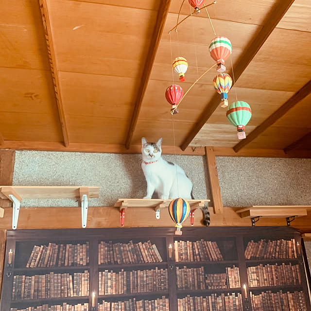 Oreoさんの実例写真