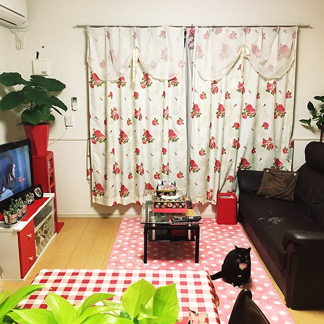 Hecacoさんの実例写真