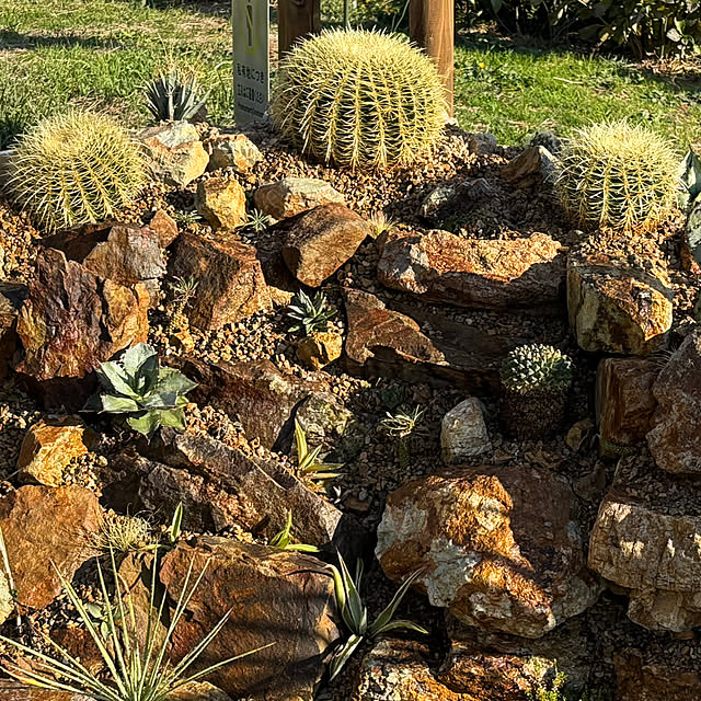 bonjiri0824さんの実例写真