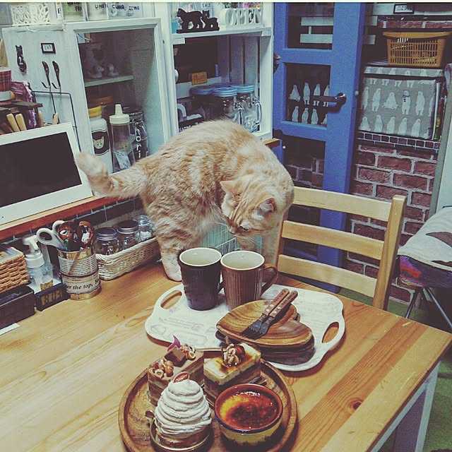 mntcさんの実例写真
