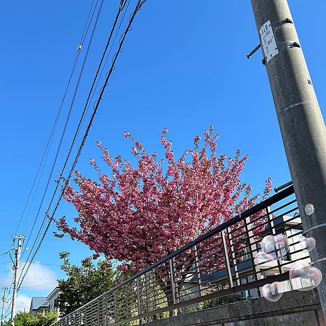 hanahana1444さんの部屋