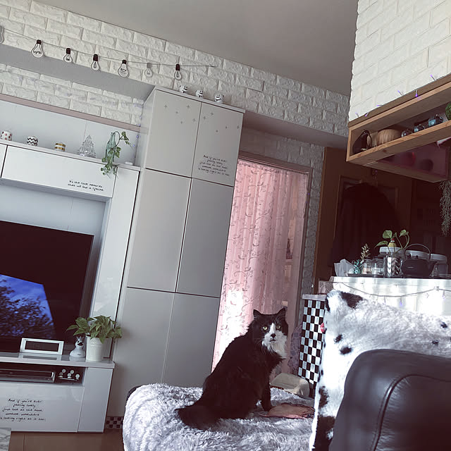 kanaさんの実例写真