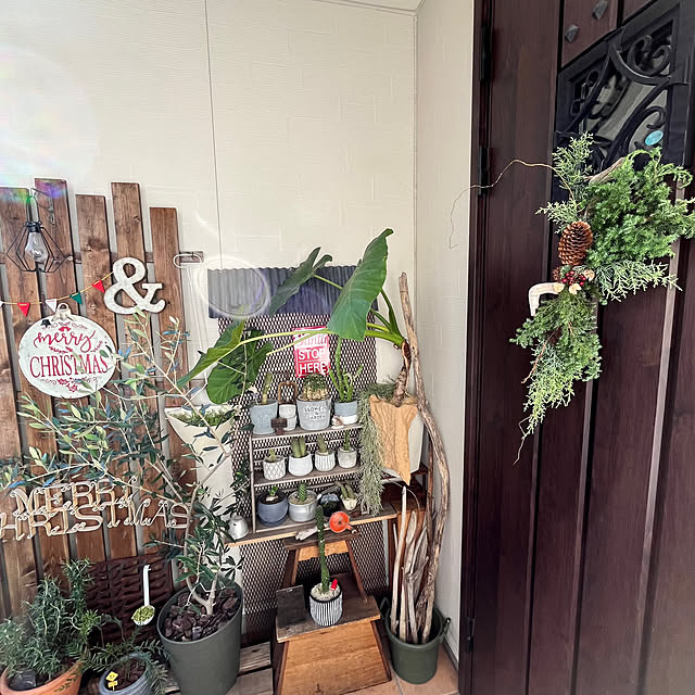 okkunさんの部屋