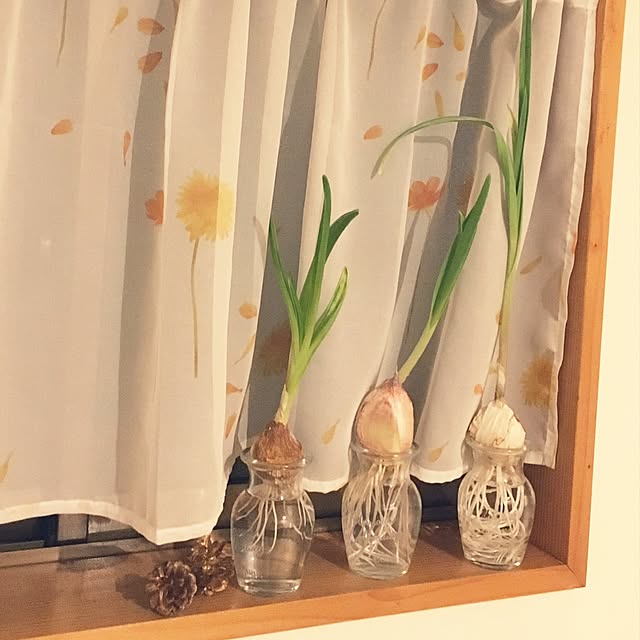 niconさんの実例写真