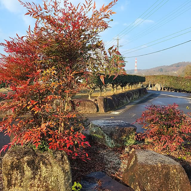 Rubiconさんの部屋