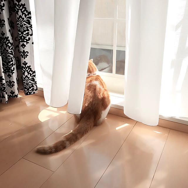 chiroさんの実例写真