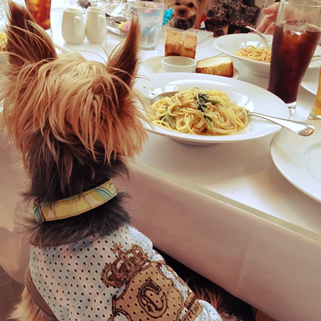 yuchinさんの実例写真