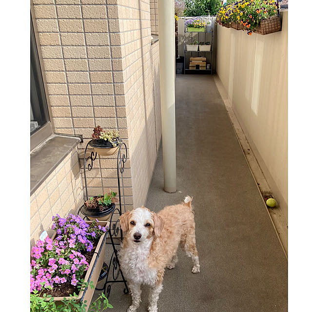 marukoさんの部屋