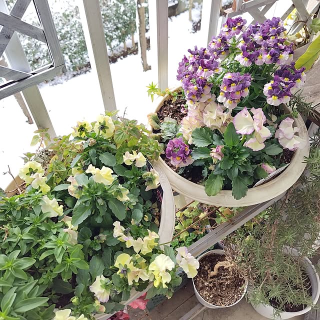 yuuu7712さんの実例写真