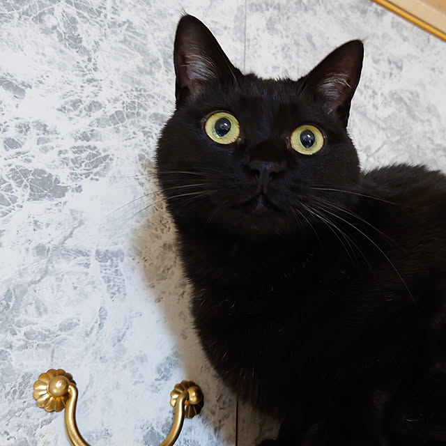 tetumuraさんの実例写真