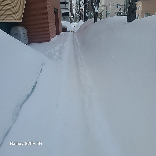 monnさんの部屋