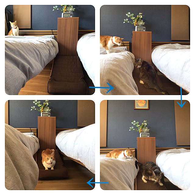 houenさんの実例写真