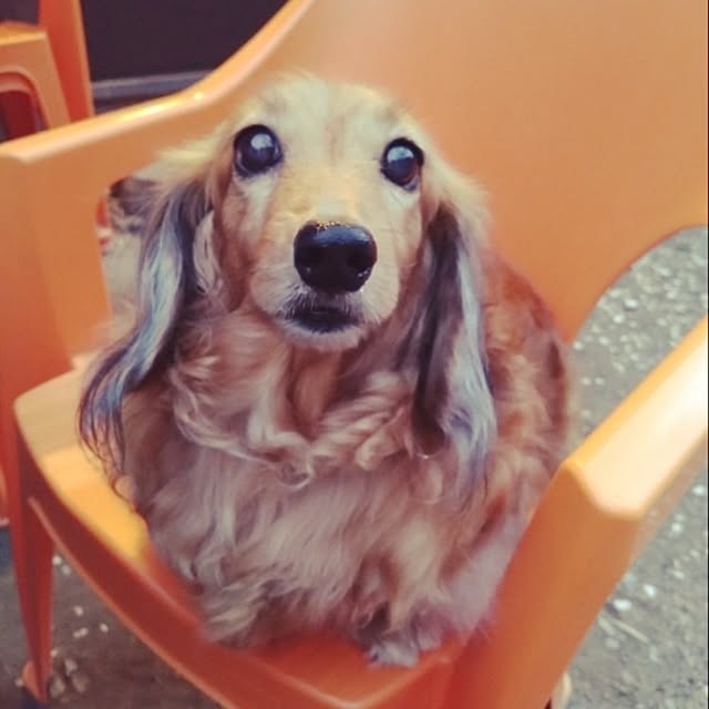 rikachakoさんの実例写真
